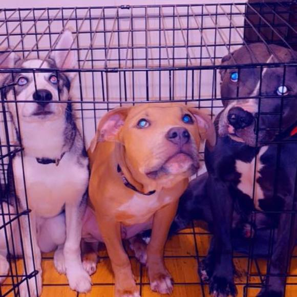 Meet your Posher, Josh - Picture 1 of 1